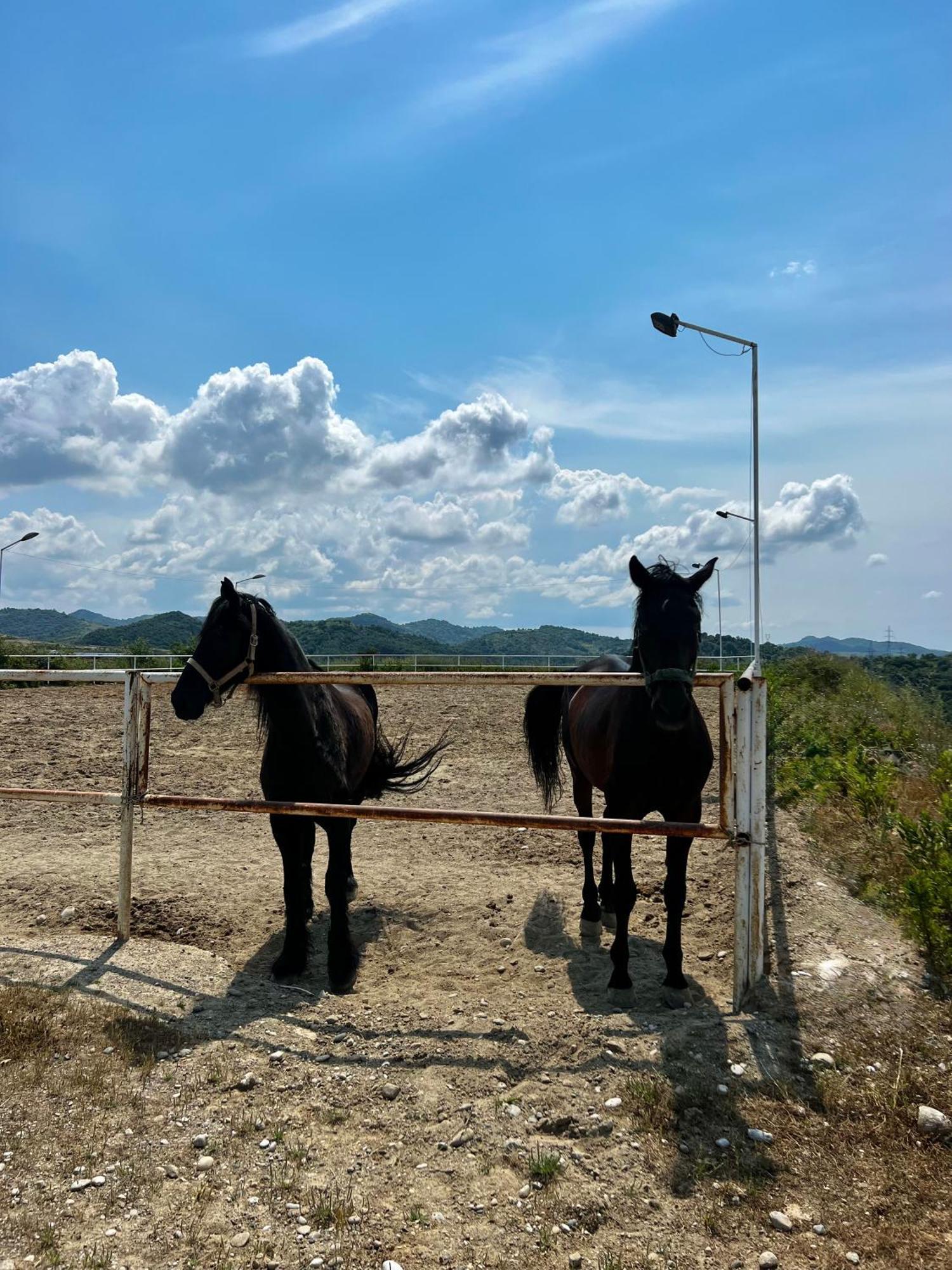 Villa Esmi Durres Kryemëdhej Esterno foto